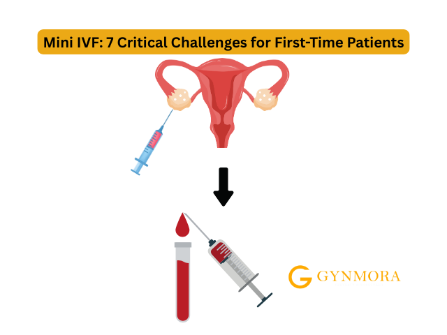 Mini IVF