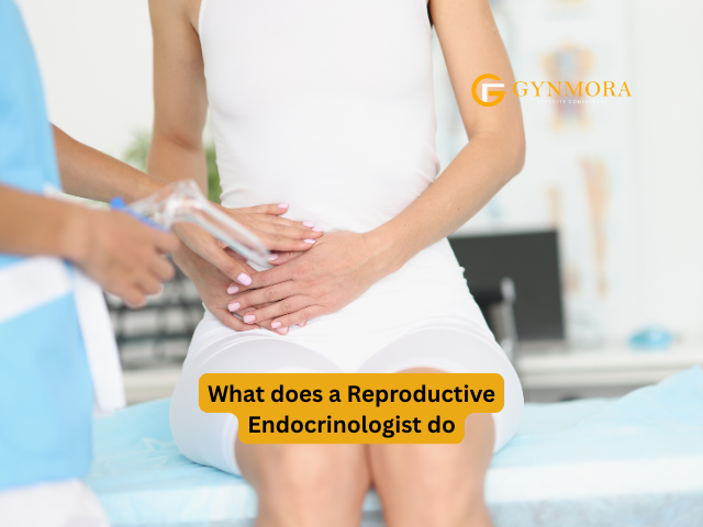 What does a Reproductive Endocrinologist do