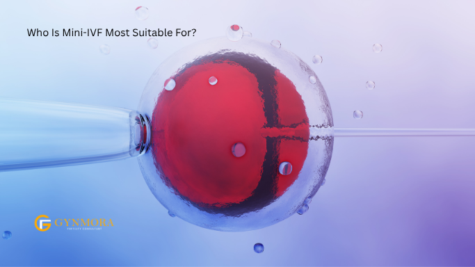 Mini IVF
