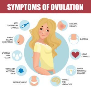 does ovulation make you tired