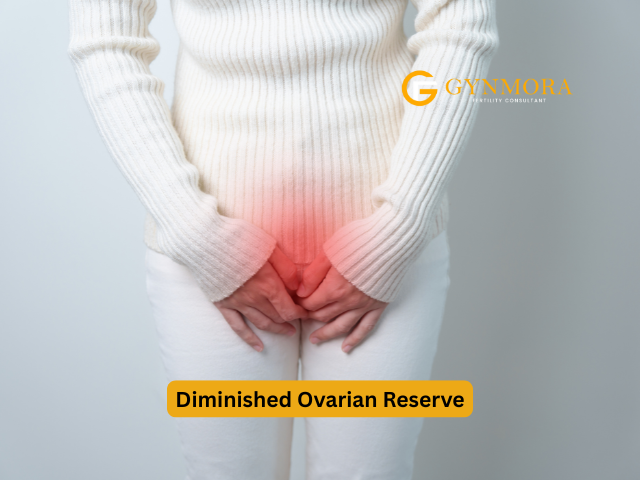 Diminished ovarian reserve (DOR)