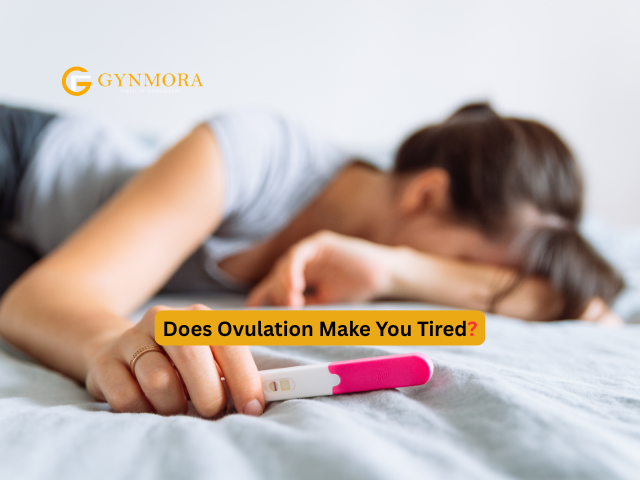 does ovulation make you tired