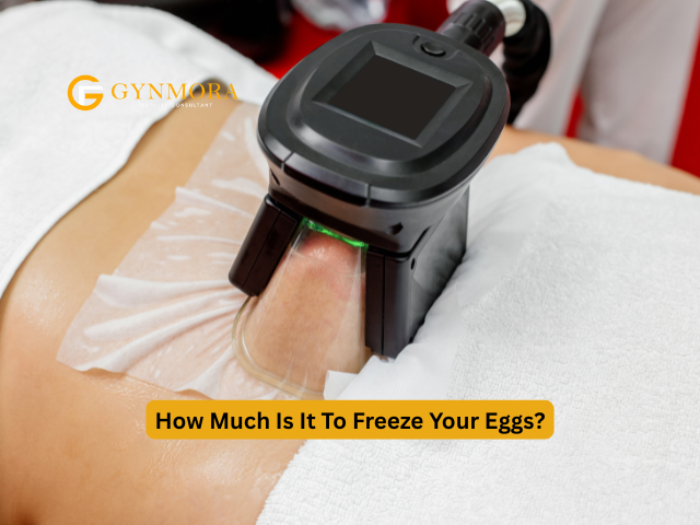 How Much Is It To Freeze Your Eggs