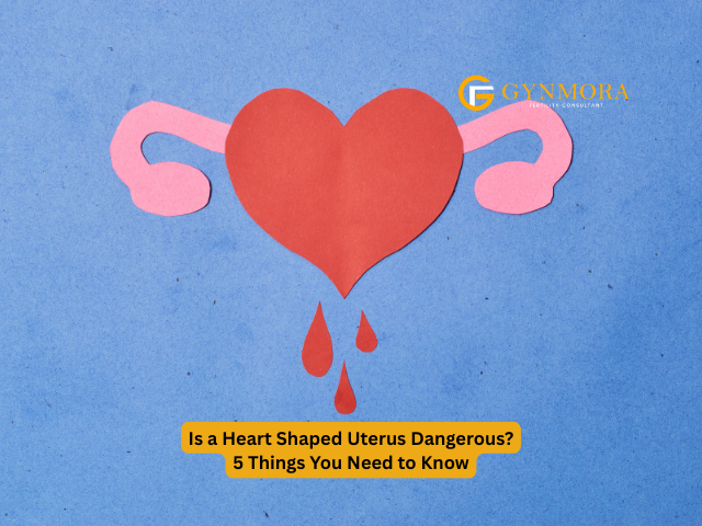 Heart Shaped Uterus