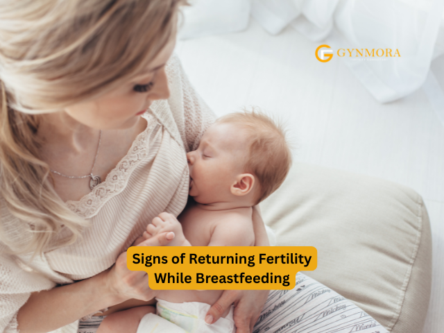 Signs of Returning Fertility While Breastfeeding