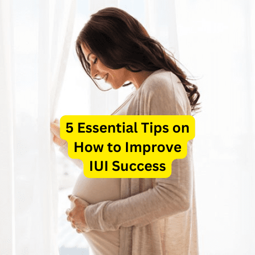 5 Essential Tips on How to Improve IUI Success