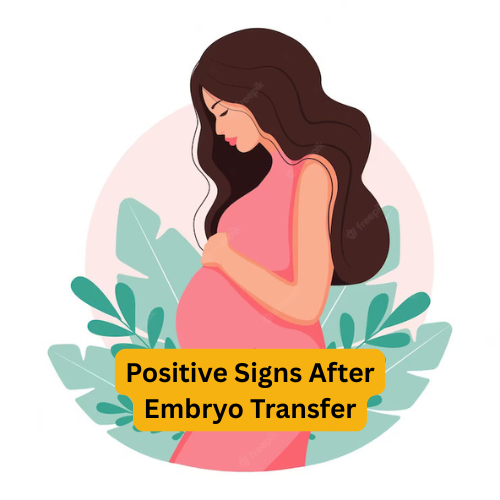 Positive Signs After Embryo Transfer