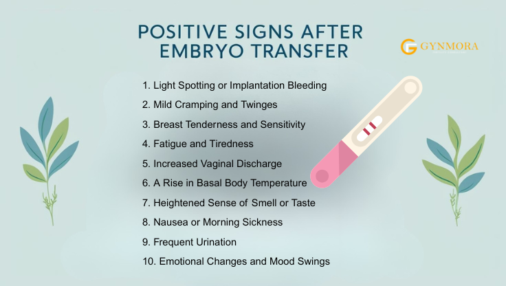 12 Days of Hope: Your Guide to Positive Signs After Embryo Transfer