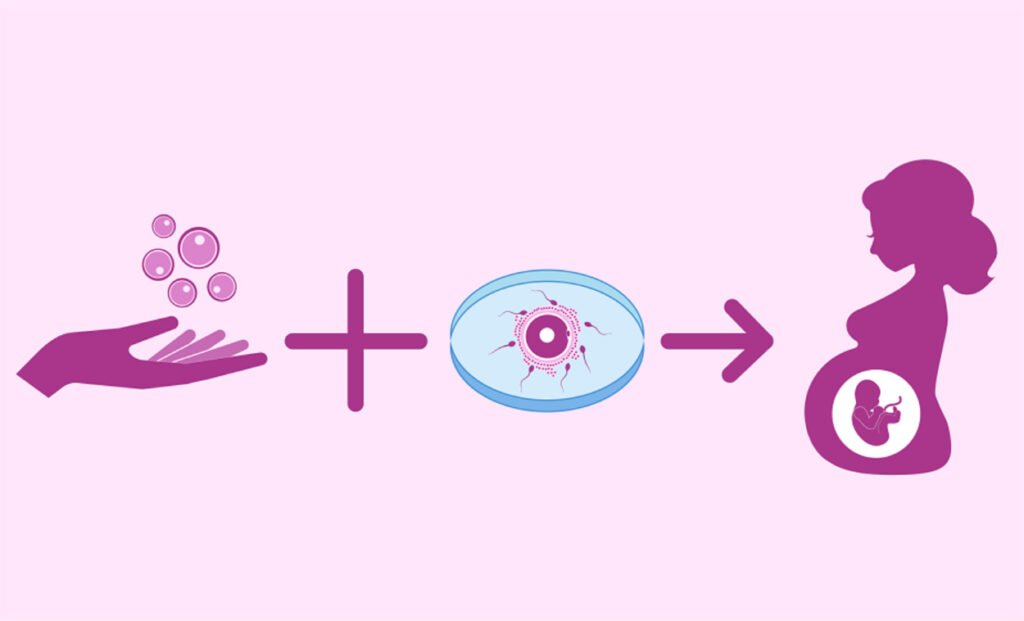 What Is Egg Donation