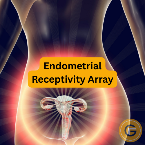 Endometrial Receptivity Array: 7 Must-Know Facts for Your IVF Journey