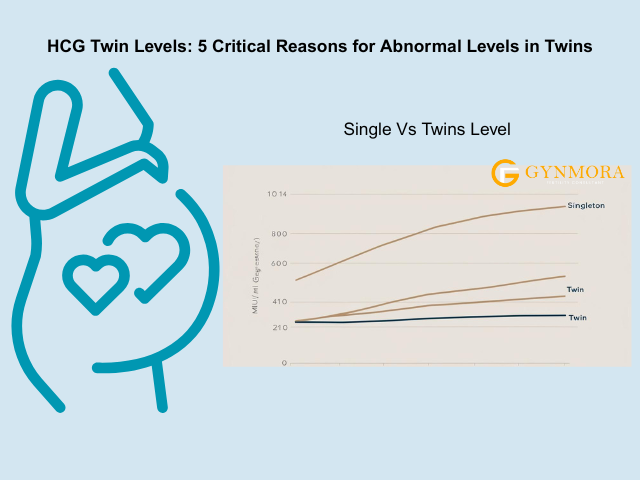 HCG Twin Levels